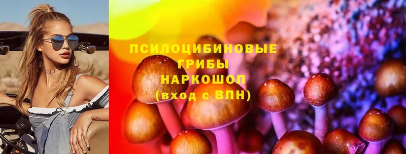 Псилоцибиновые грибы мухоморы  Галич 